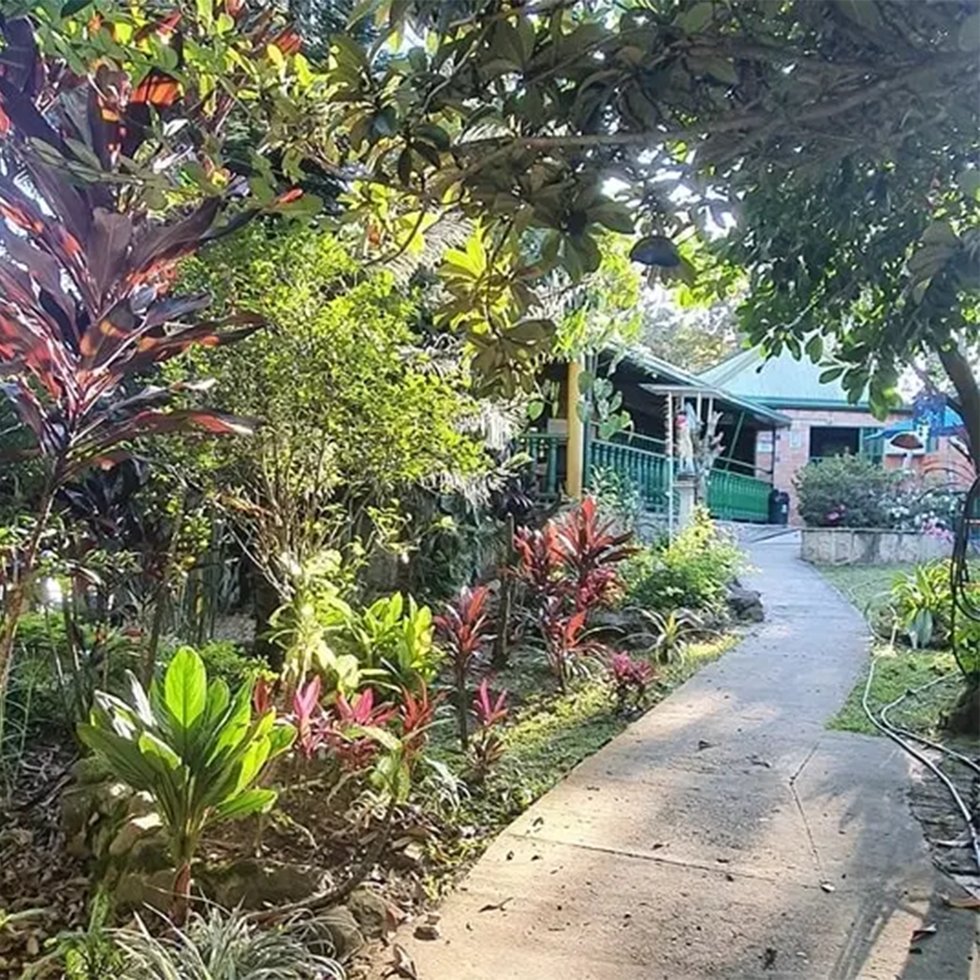 hogar aaron abuelos