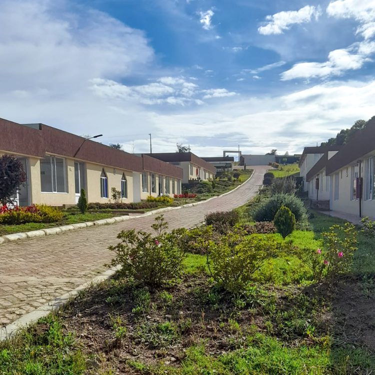 Alrededores
