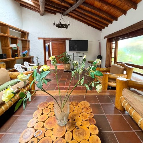 sala-tv
